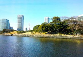 浜離宮恩賜庭園の画像