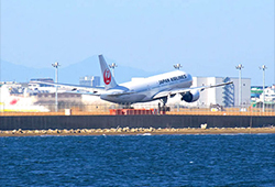 羽田空港の画像